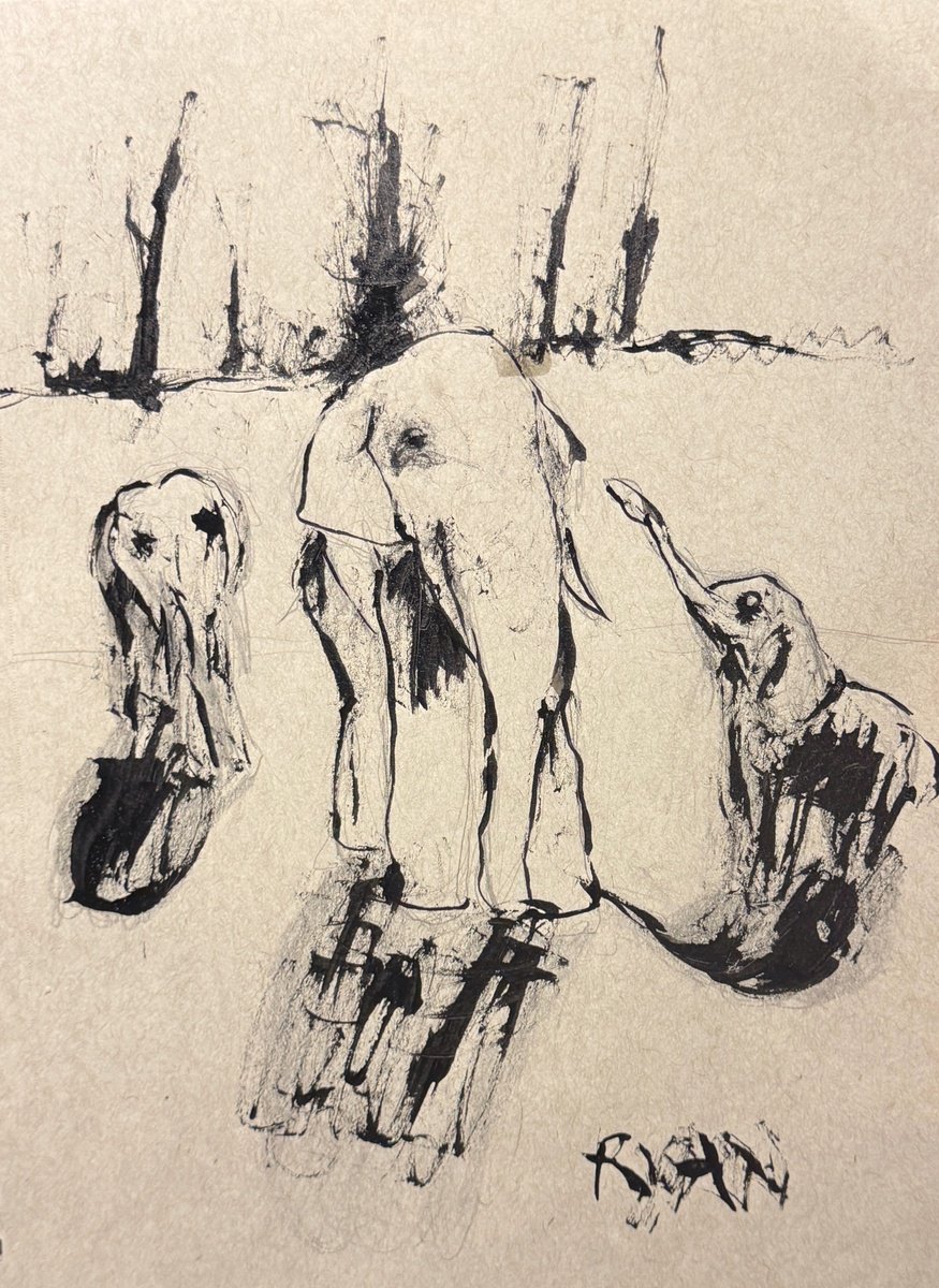 Impressionistic Animal Pencil Drawing By Ryan Louder, 9 X 12", Three Elephants, Original Artwork