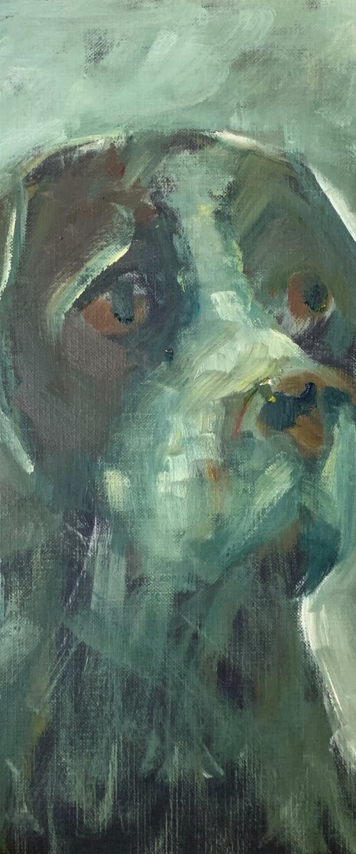 Why Can'T I? by Ryan Louder