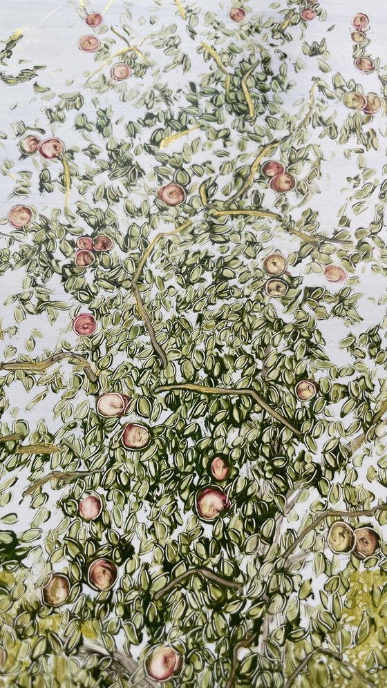 View from the window of an apple orchard.