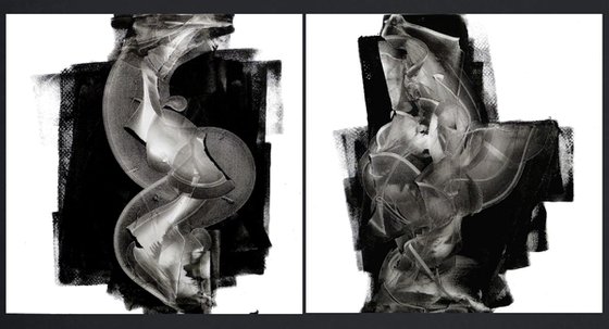 Double Take Diptych