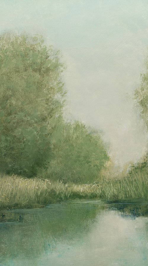 Still Pond 260514 by Don Bishop