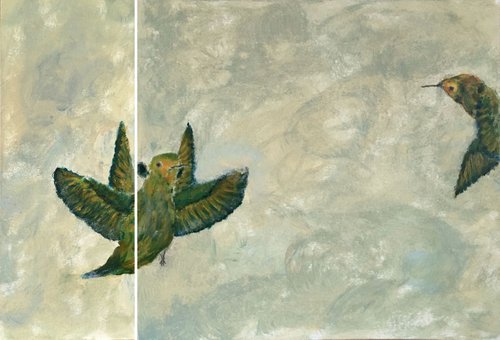 Study of hummingbird V a+b by Paola Consonni