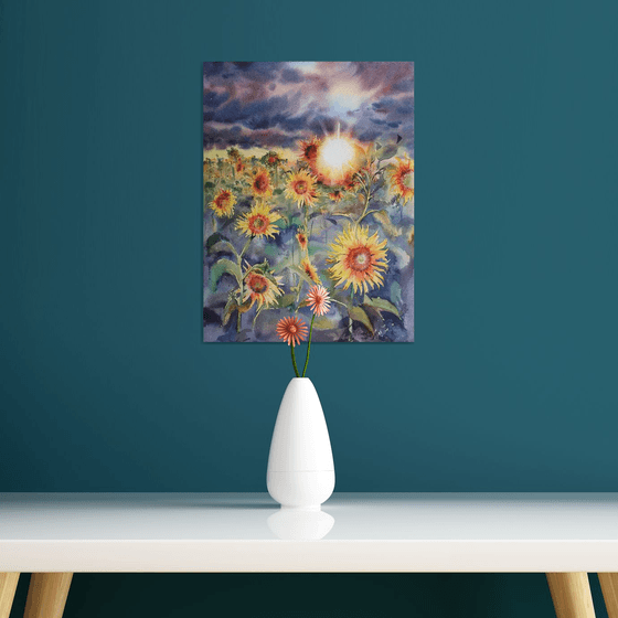 Yellow sunflowers field