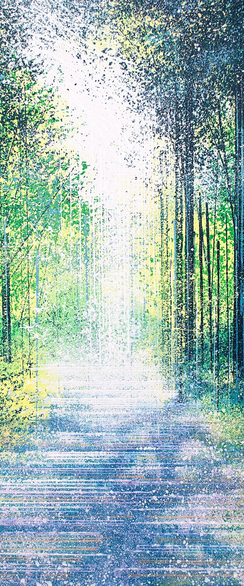 Light In A Spring Forest by Marc Todd