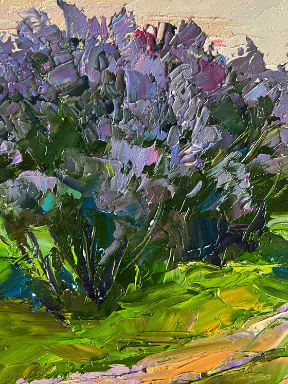 Flowers along the Road