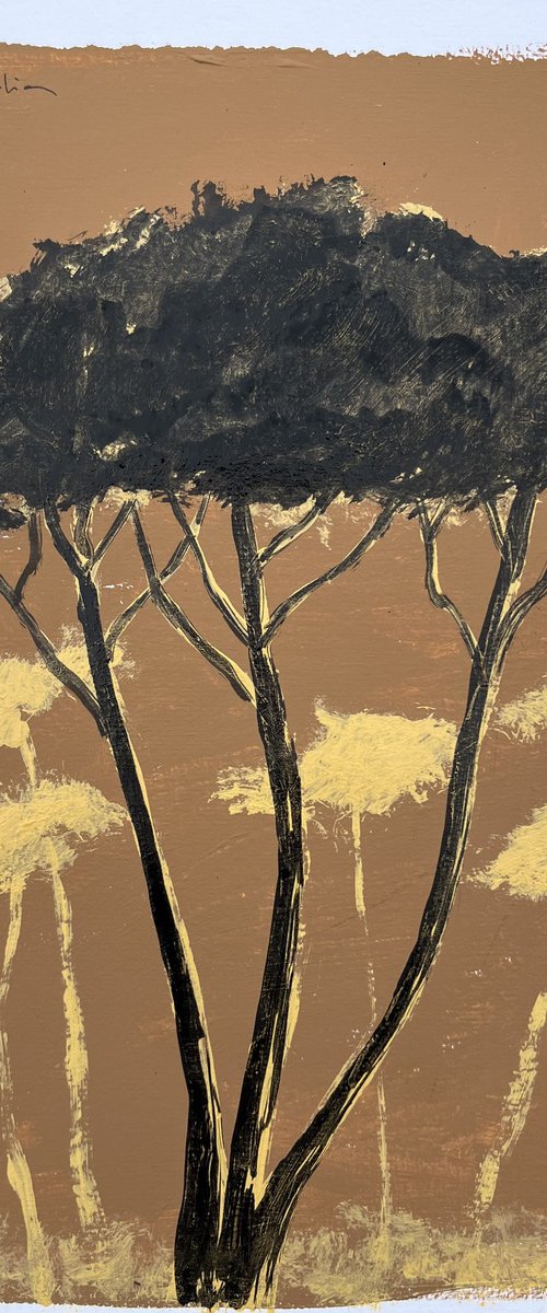 Pinetrees by Cadiou Frederic