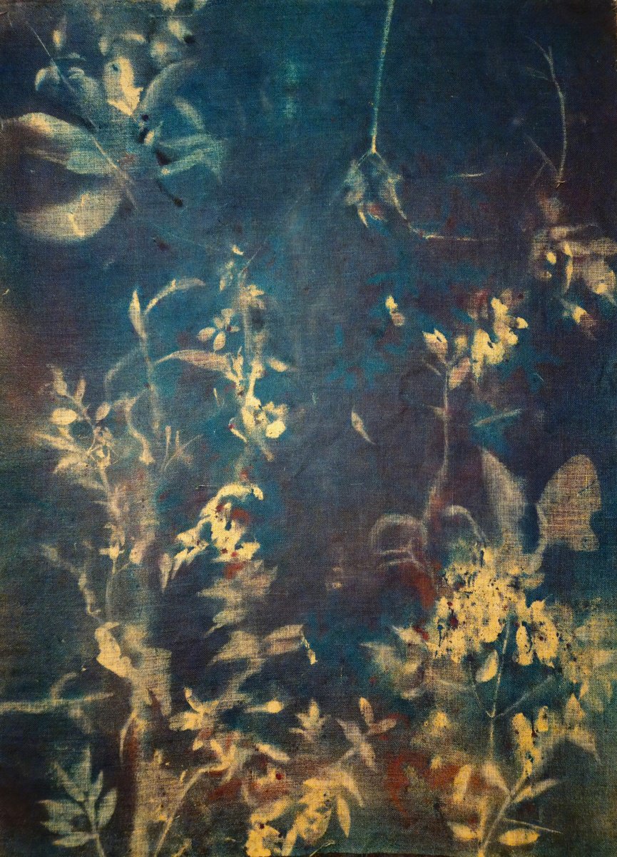 Surrealistic Botanical Acrylic Painting By Stefano Mazzolini, 59 X 79", Rf5556, Original Artwork