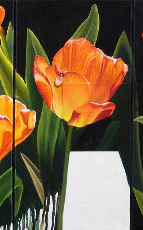 Tulips with Dew by Juan Bernal