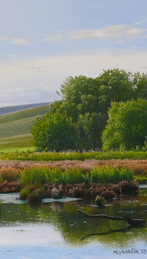 On the edge of the pond by Mlynarcik Emil