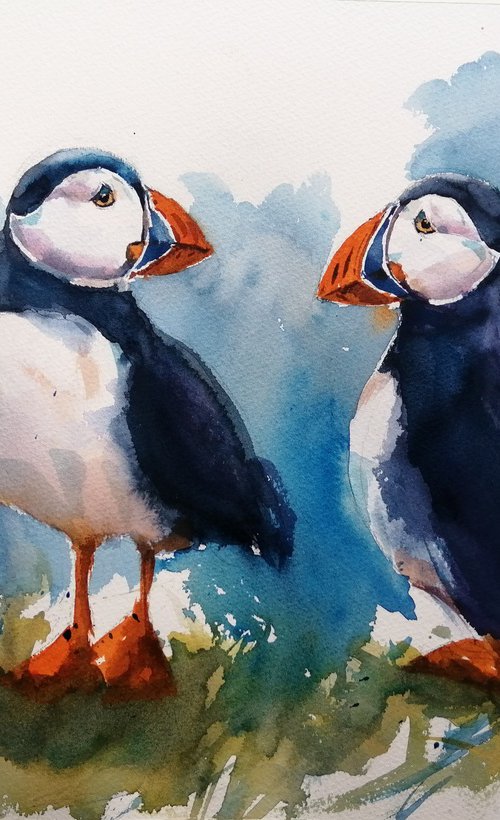 puffin 5 by Giorgio Gosti