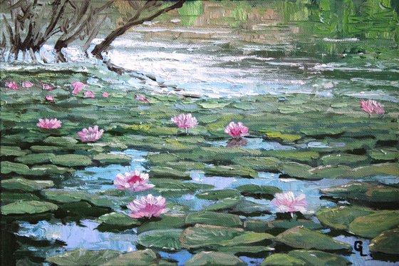 PINK WATER LILIES 2 (30 x 20 cm.)