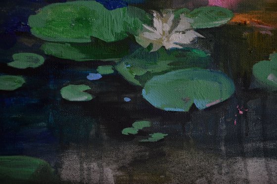 Lily pond. Wavy mirror