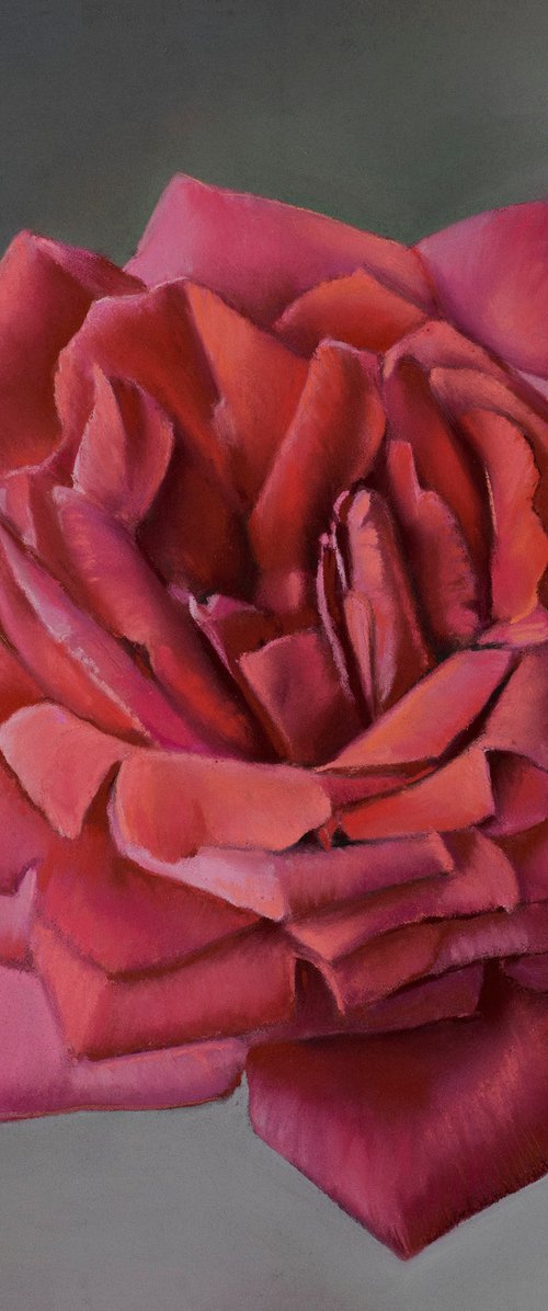 Smoky Rose by Oxana Babkina