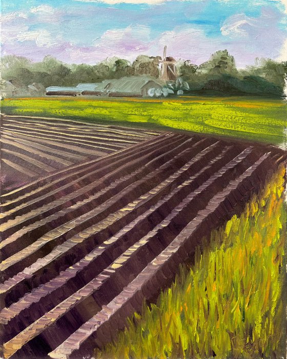 Plowed Field in Wachtum