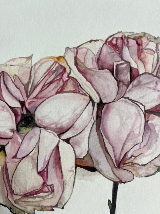 Pink roses pastel