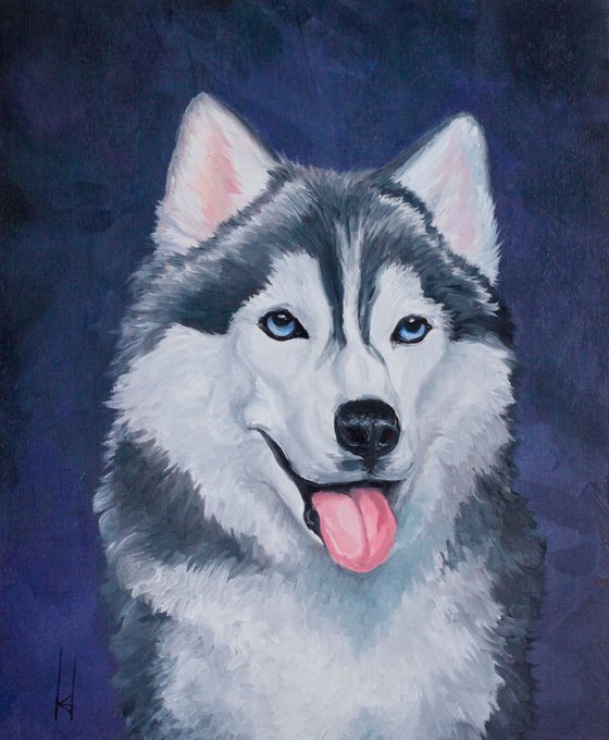 Husky Portrait