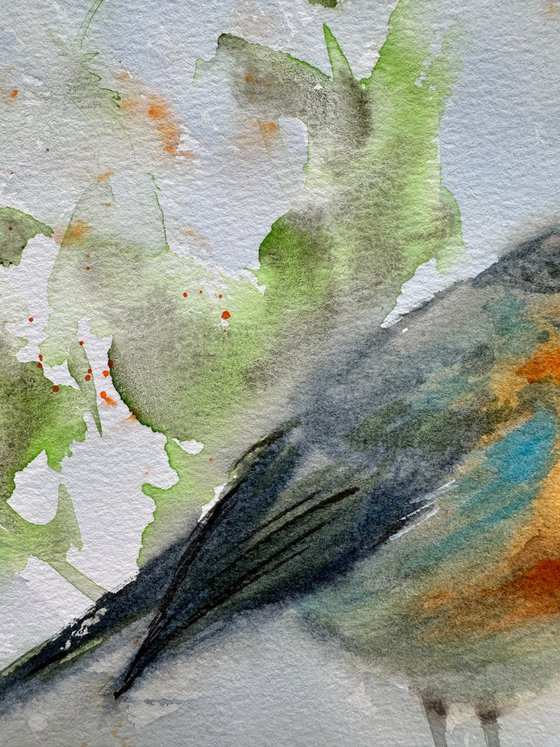Little Robin