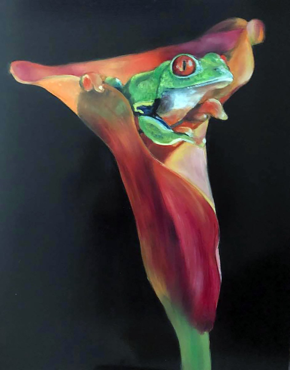 Photorealistic Oil Painting , Treefrog In Arum By Jennie Smallenbroek, 19 X 23, Artwork For Sale On Artfinder
