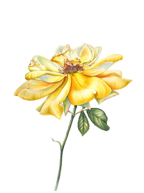 Greetings to the sun