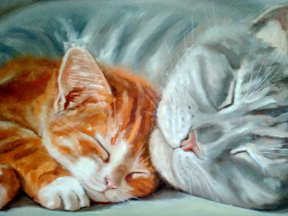 Sleeping Cat With Tawny Kitten Original Oil Painting Pet Portrait Animalism. 50x35 cm, ready to hang