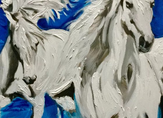 White horses ….