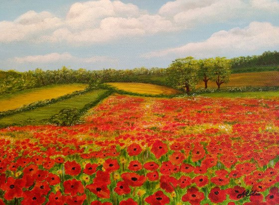 Poppy Field