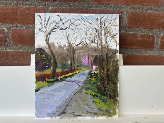 Early March Awakening