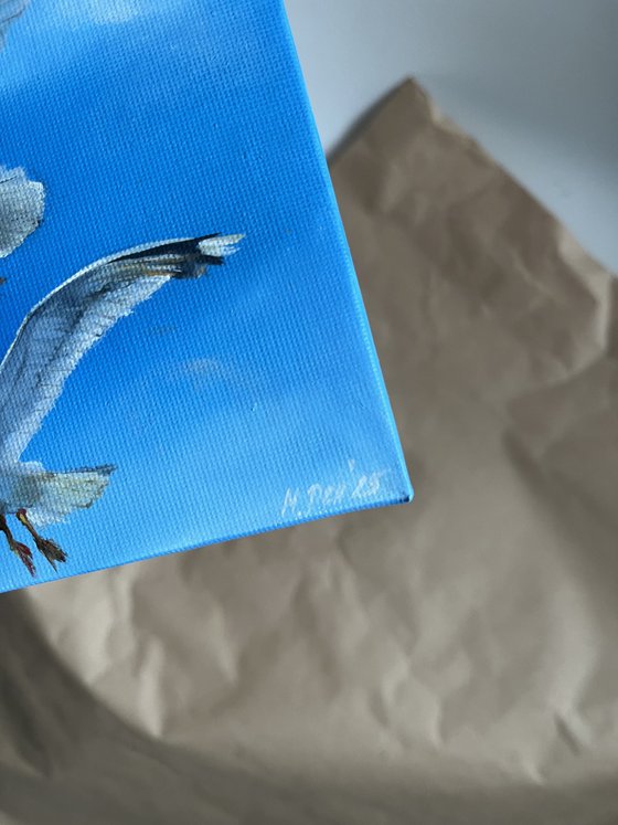 Seagulls