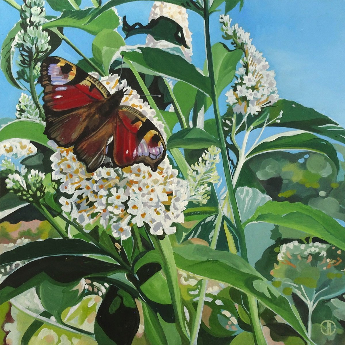 Impressionistic Botanical Acrylic Painting By Joseph Lynch, 20 X 20, Peacock Butterfly On Buddleia, Original Artwork