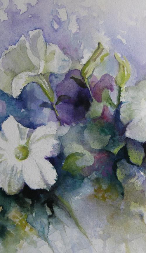 Petunias by Elena Oleniuc