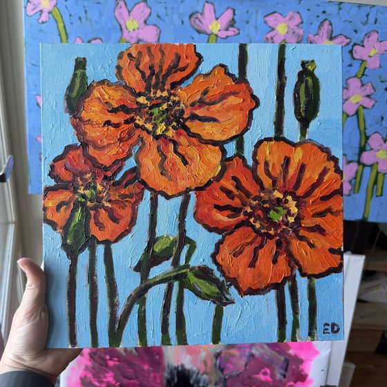 Poppy flowers