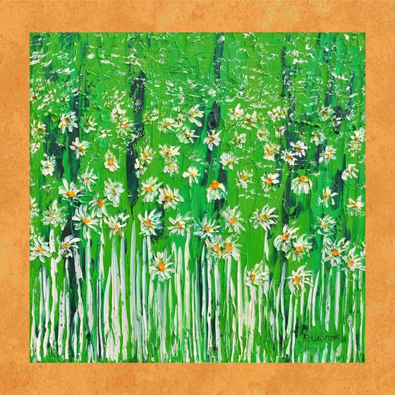 Daisies In The Grass 3
