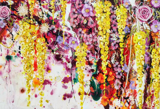 Study in Luminous Gravity