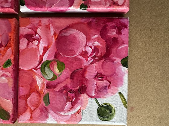 A quadriptych of salmon peonies