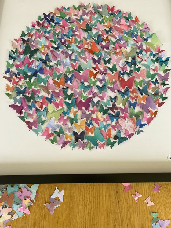 Butterfly circle - study 2