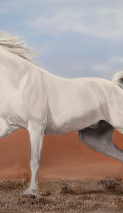 White horse by Simona Tsvetkova