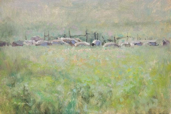 Flock of Sheep