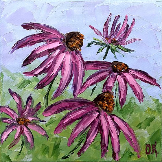 Lovely coneflowers