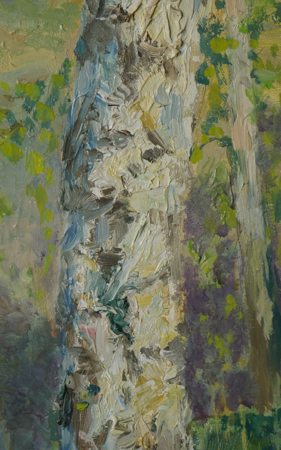 The Sunny Birch Forest