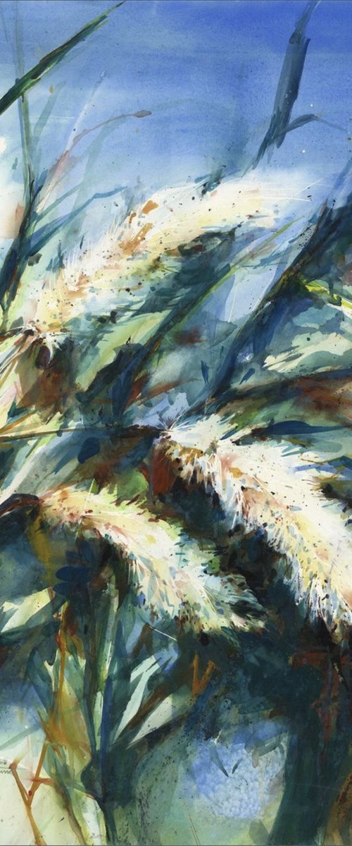 Pampas Grass by Kathy Morton Stanion