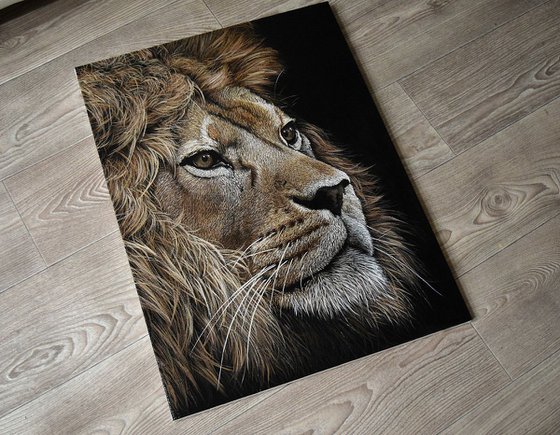 "Lion" 60 x 45 cm , Ready to Hang / hyperrealism / photorealism / wild cat / wild life/ animalism