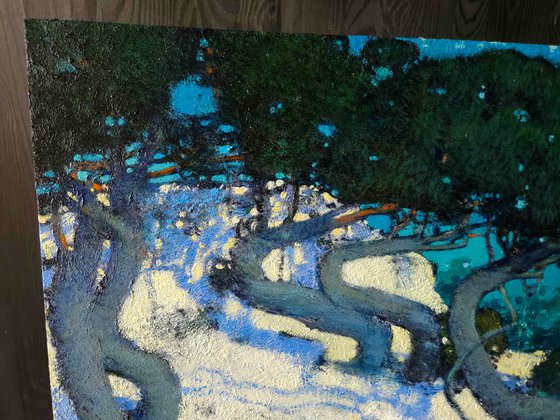 Juniper trees