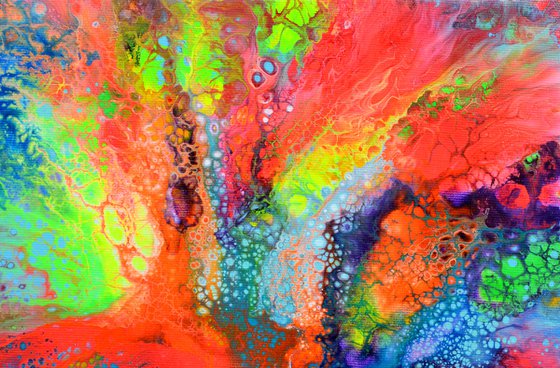 The Voice of a Dream 5