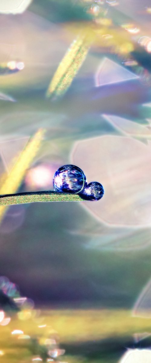 Dreamy drops by Inna Etuvgi