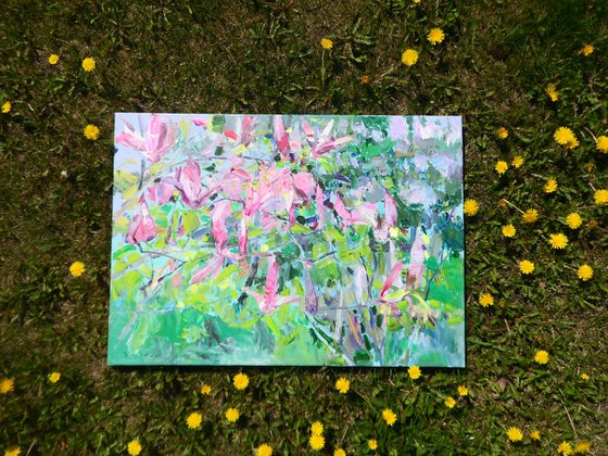 " Magnolia "