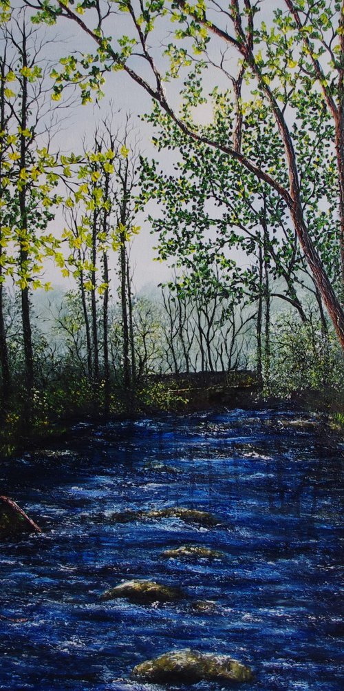 Forest River by Hazel Thomson