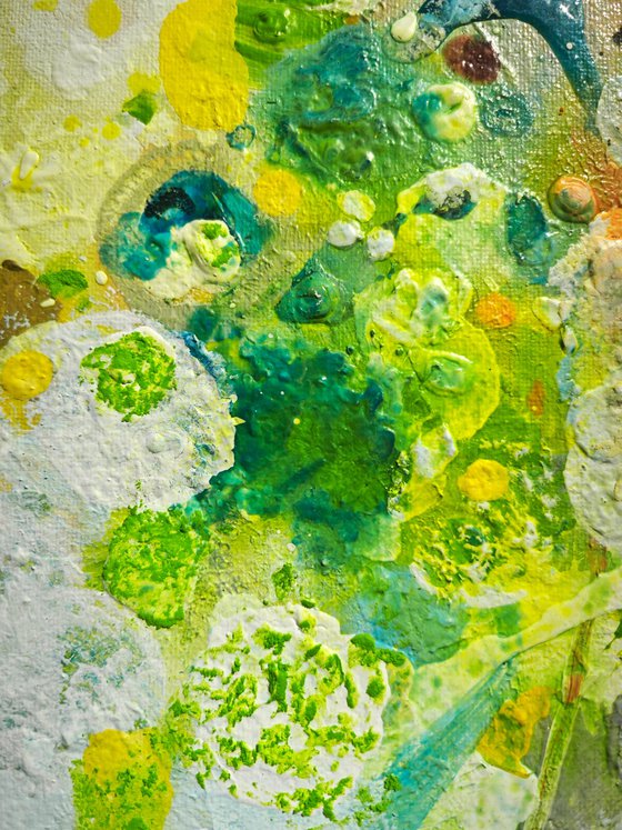 Tender Springlight N°3