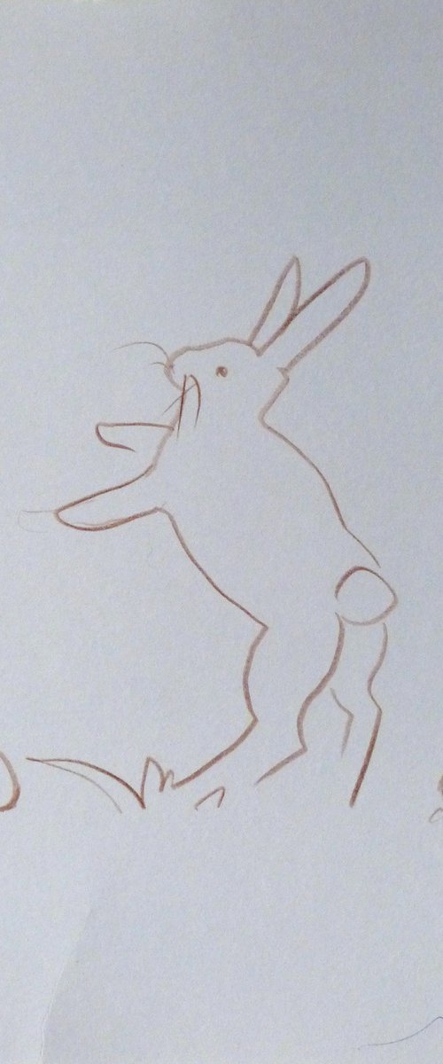Easter Bunny 6, pencil drawing 21x29 cm - FREE SHIPPING by Frederic Belaubre