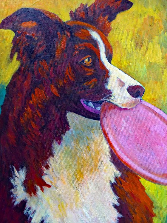 COLLIE WITH FRISBEE AT SUNSET
