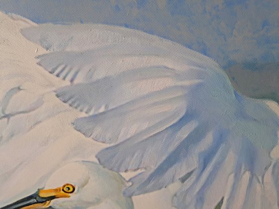 A MATING DANCE OF HERONS